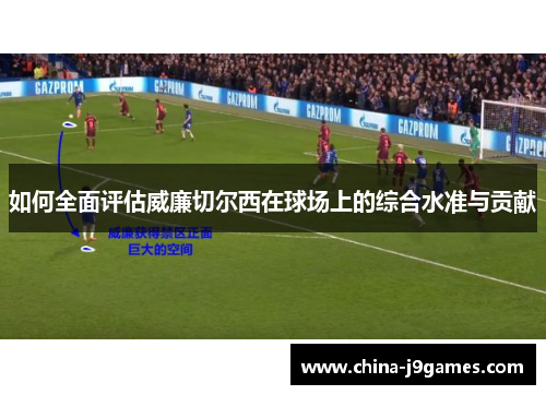 如何全面评估威廉切尔西在球场上的综合水准与贡献